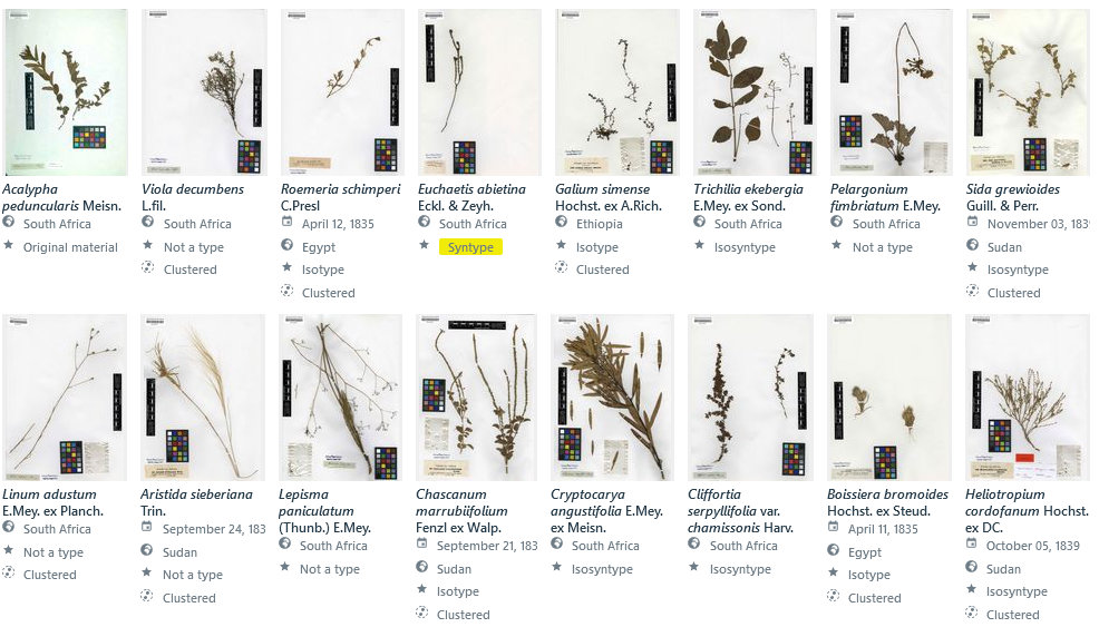 Galerieansicht des Virtuellen Herbariums Deutschland